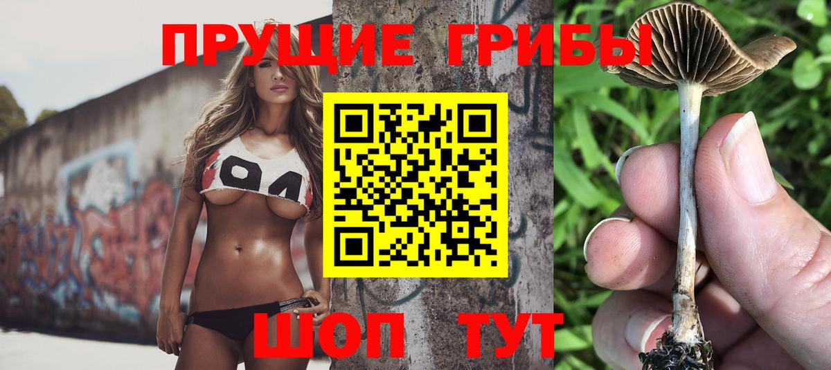 Галлюциногенные грибы Magic Shrooms  Вход с VPN  Славгород 