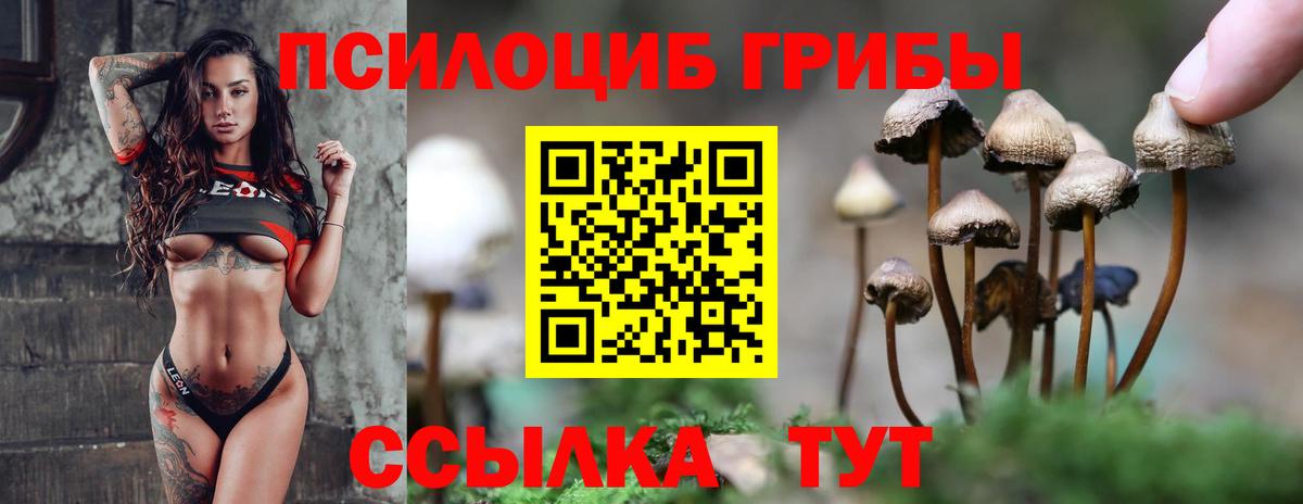Псилоцибиновые грибы Psilocybine cubensis Славгород